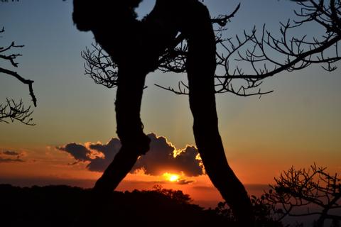 Tree Top Climbing Night Tour Costa Rica
